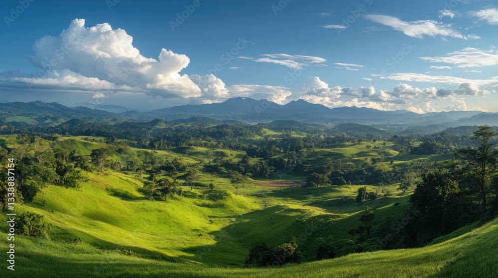 A vibrant untouched land with rich soil and lush grass. A vibrant untouched land with rich soil and lush grass.