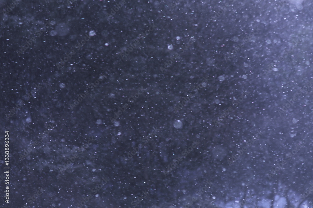 Fototapeta premium 舞い散る雪に差し込む光