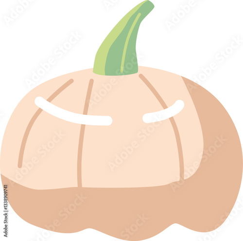 White ripe squash pumpkin vegetable