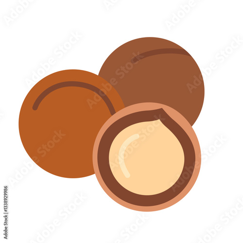 Macadamia nut in shell and without it. Vector illustration isolated on white background, hand drawn, flat design