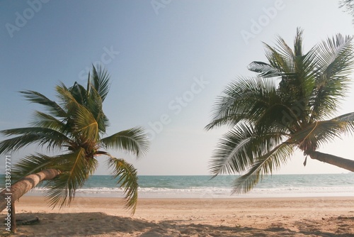 Palm tree  on the sea and blue sky tropical sunset ,For background.	