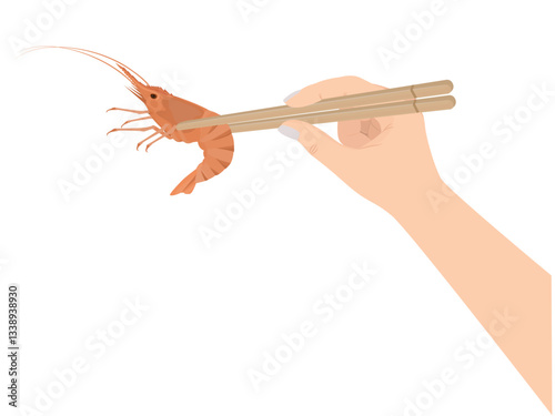 Shrimp on a white background.