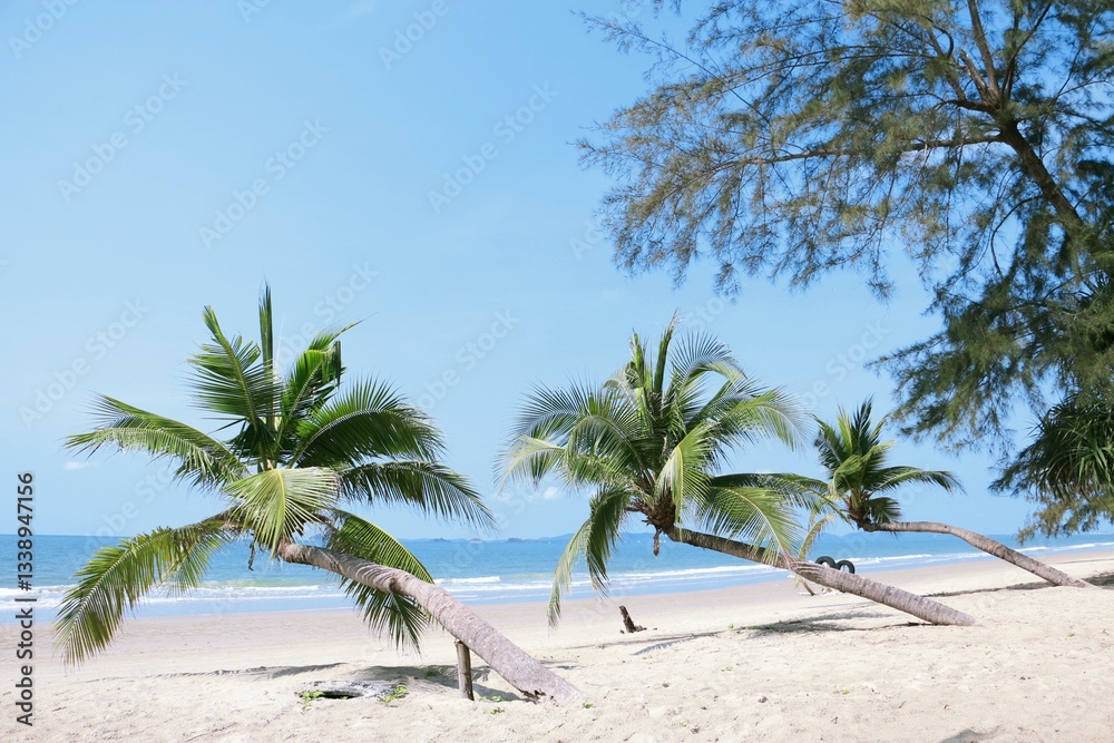 Palm tree on the sea and blue sky tropical sunset ,For background. Palm tree on the sea and blue sky tropical sunset ,For background.