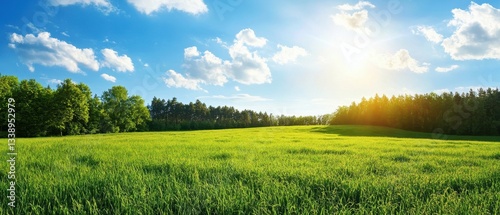 Vibrant green meadow under a bright blue sky with fluffy clouds and a warm sun.