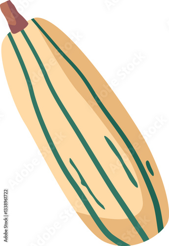 Natural pumpkin seasonal vegetable vector illustration