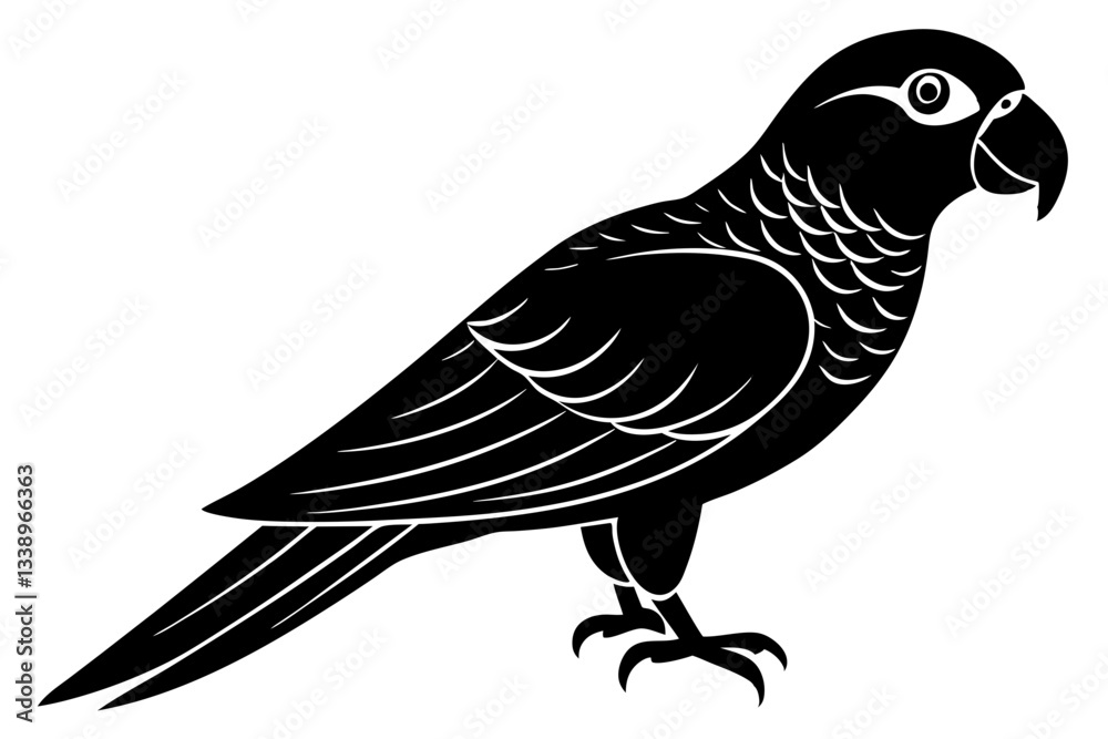 Fototapeta premium bird on a branch