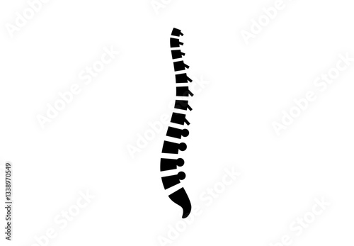 Spine medical poster