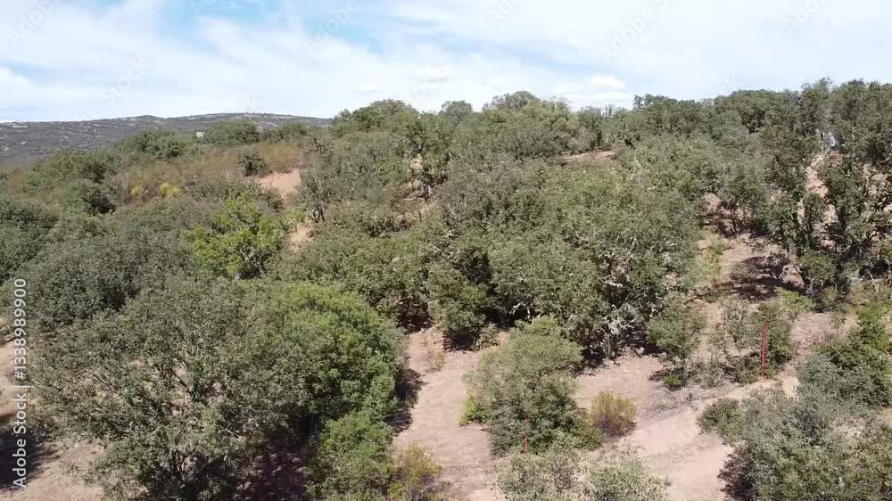 Aerial Drone Shot From Left to Right Over Mediterranean Forest in La Mancha - 645
Aerial Drone Shot From Left to Right Over Mediterranean Forest in La Mancha - 645
