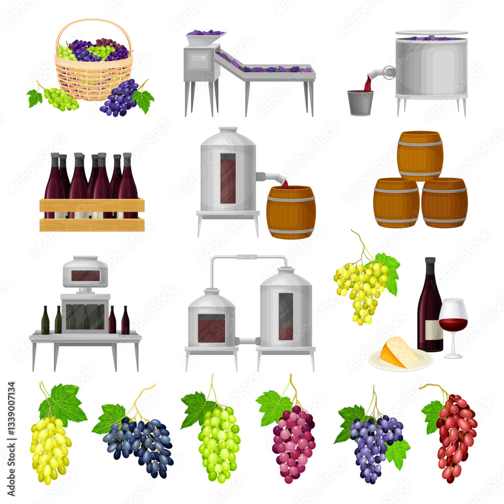 Fototapeta premium Wine Production with Barrel, Bottle Pouring and Grape Harvest Big Vector Set