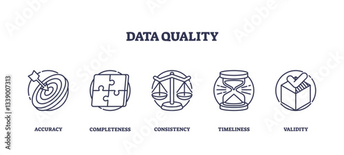 Data quality is depicted through icons of a target, puzzle, scales, hourglass, and checklist, transparent background. Outline icons set.