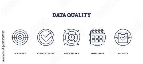 Data Quality icons depict accuracy, completeness, consistency, timeliness, and validity, transparent background. Outline icons set.