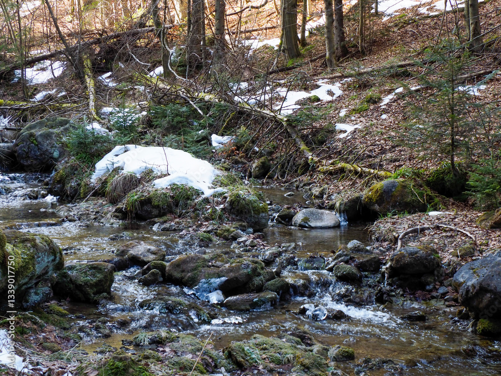Rocky Mountain Stream with Early Spring Melting Snow and Exposed Rocks in Forest Rocky Mountain Stream with Early Spring Melting Snow and Exposed Rocks in Forest