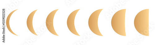 Lunar moon phases with crescent, half, and full cycle, night sky eclipse illustration, black and white shadow shapes on a transparent background. Flat vector illustration isolated on white.