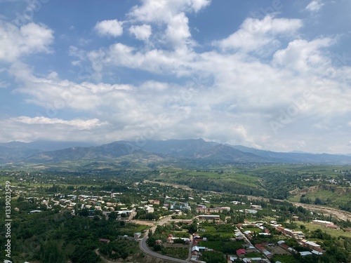 Wallpaper Mural aerial view of the village Torontodigital.ca