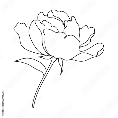 Elegant SingleLine Peony Flower Drawing, Botanical Art, Minimalist Design