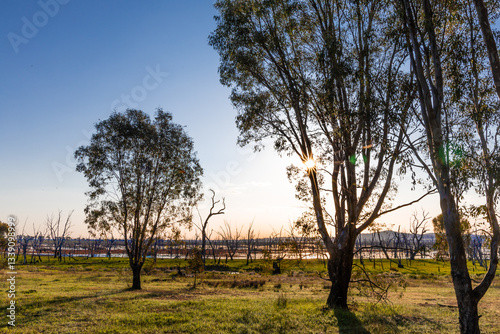 Sunset at the Winton Wetlands, a wetland with stump woods that is home to variety of native flora and fauna in Victoria, Australia.