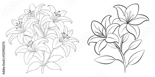 Hand drawn Lily flower outline