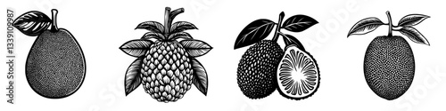 Black and white illustrations of tropical fruits showcasing unique textures and shapes on a plain background