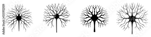 Illustrations of neural cells depicting the structure of different types of neurons in a scientific context