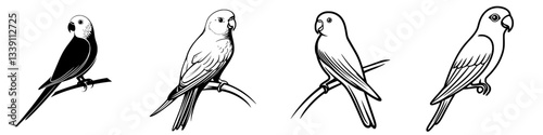 Detailed illustrations of budgerigar birds displaying different poses and feather patterns in a natural setting