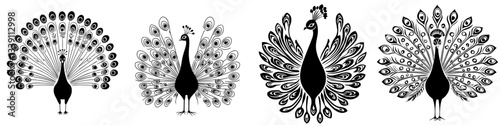 Multiple artistic representations of peacocks displaying their feathers in various poses and styles