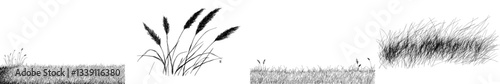 This illustration features a modern sketch of grass in a vintage hand-drawn style with engraved details