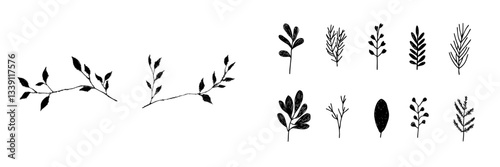 A botanical modern illustration featuring a vintage hand-drawn leaf branch sketch