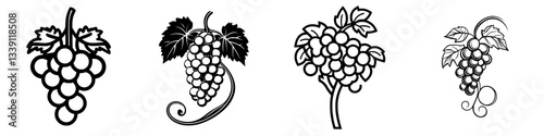 Different styles of grape illustrations showcasing various shapes and vine details in a minimalist design