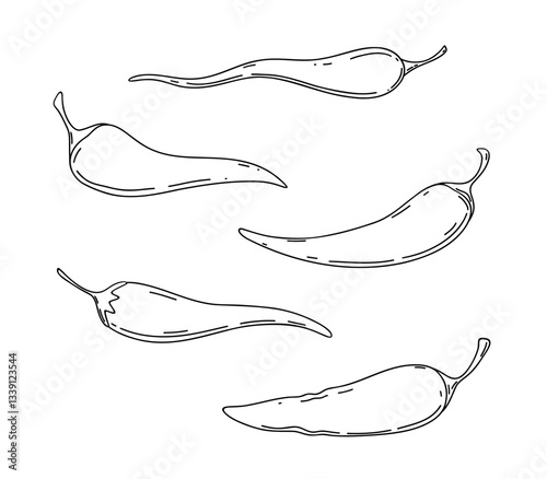 Chili pepper is hand-drawn with a line, isolated on a white background, black and white vector illustration sketch. Hot, spicy cayenne pepper, vegetable for decoration, menu, labels. A natural product