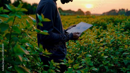 The Farmer Using Technology