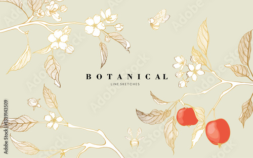 Golden line apple branch. Blooming branch of sakura apple tree.