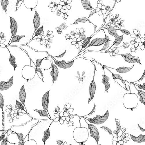 Black white line apple branch. Blooming branch of sakura apple tree seamless pattern.