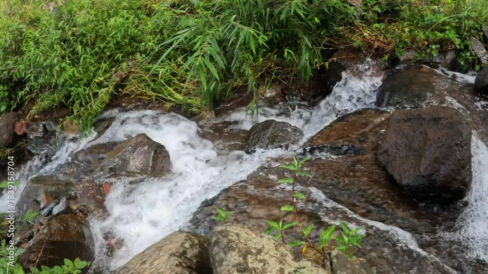 Ripples of clear flowing small rocky mountain river. Natural mountain spring. Calm and peaceful atmosphere for relaxation. Ecological and environmental concept. Footage 4K,60Fps Ripples of clear flowing small rocky mountain river. Natural mountain spring. Calm and peaceful atmosphere for relaxation. Ecological and environmental concept. Footage 4K,60Fps