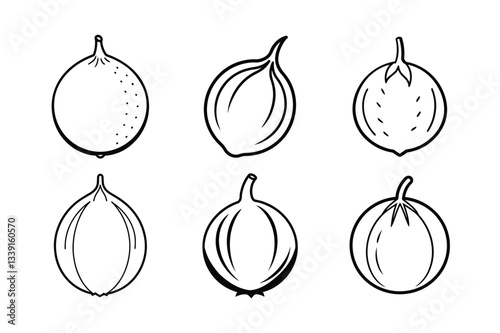 Langsat – Lansium parasiticum line art vector illustration