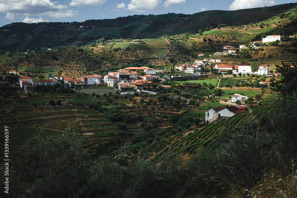 View of a charming village nestled in the Douro Valley, Portugal, surrounded by vineyards and rolling hills.
