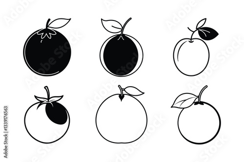 Longan – Dimocarpus longan line art vector illustration