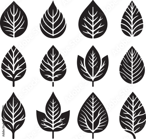Black and white leaf icon silhouette vector set