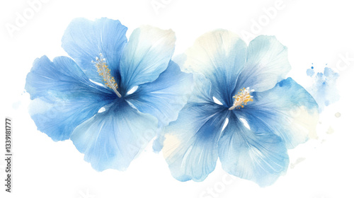 Blue Hibiscus Watercolor Illustration on white background