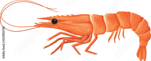 Cartoon shrimp. Raw or boiled seafood, tiger shrimps meat, king prawns without shell flat vector illustration icon. Ocean shrimps collection
