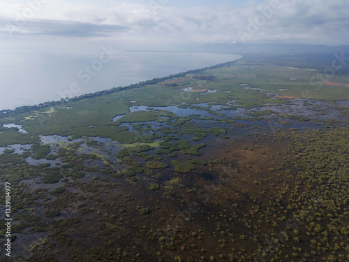 Scenic view of lush wetland ecosystem along coastal shoreline