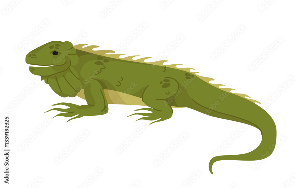 Naklejka premium A detailed green iguana in a side view, depicted in a flat, cartoon style on a white background. The reptile has textured skin, a long tail, and spiky dorsal scales. Vector illustration