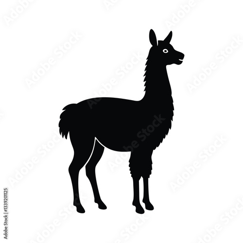 vector illustration of a llama