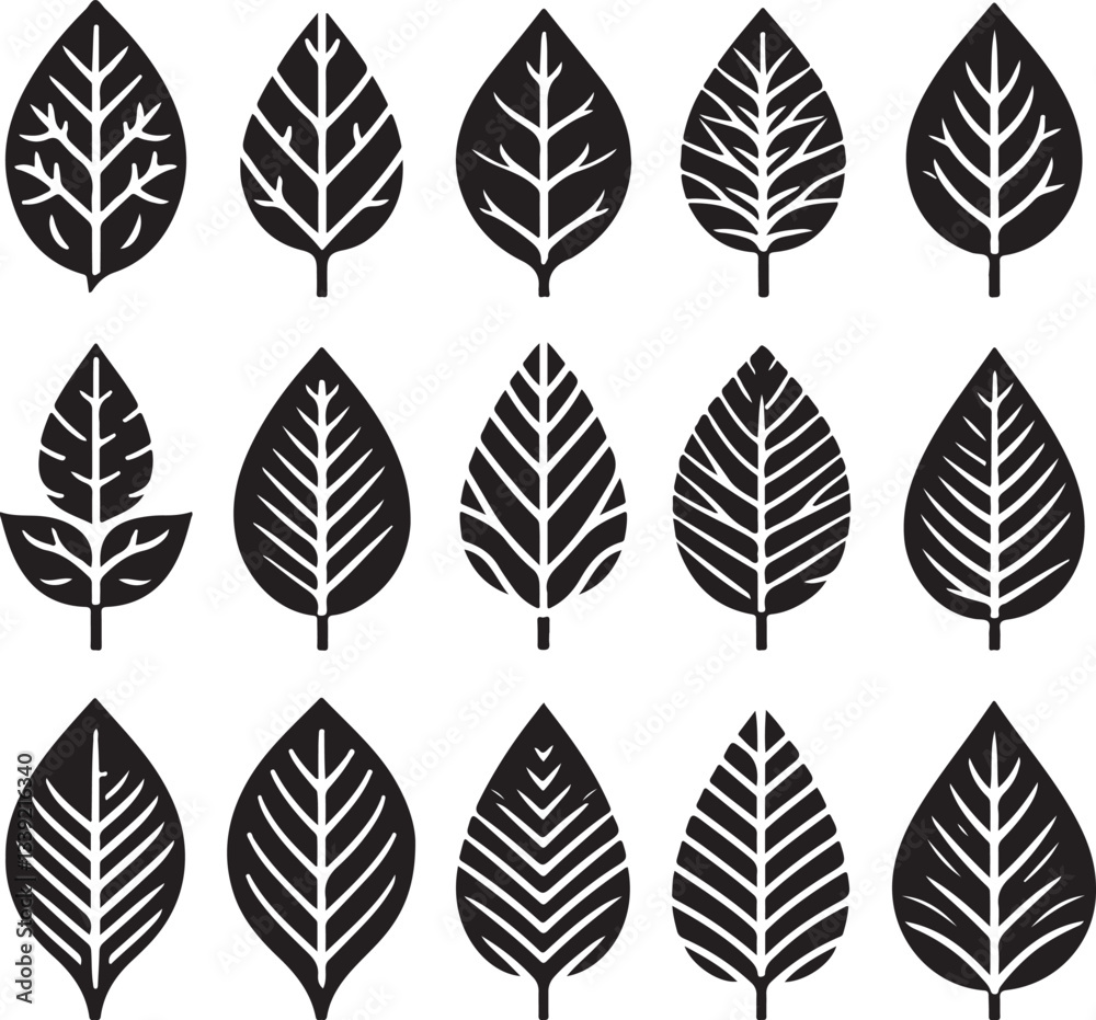 Fototapeta premium Black and white leaf icon silhouette vector set