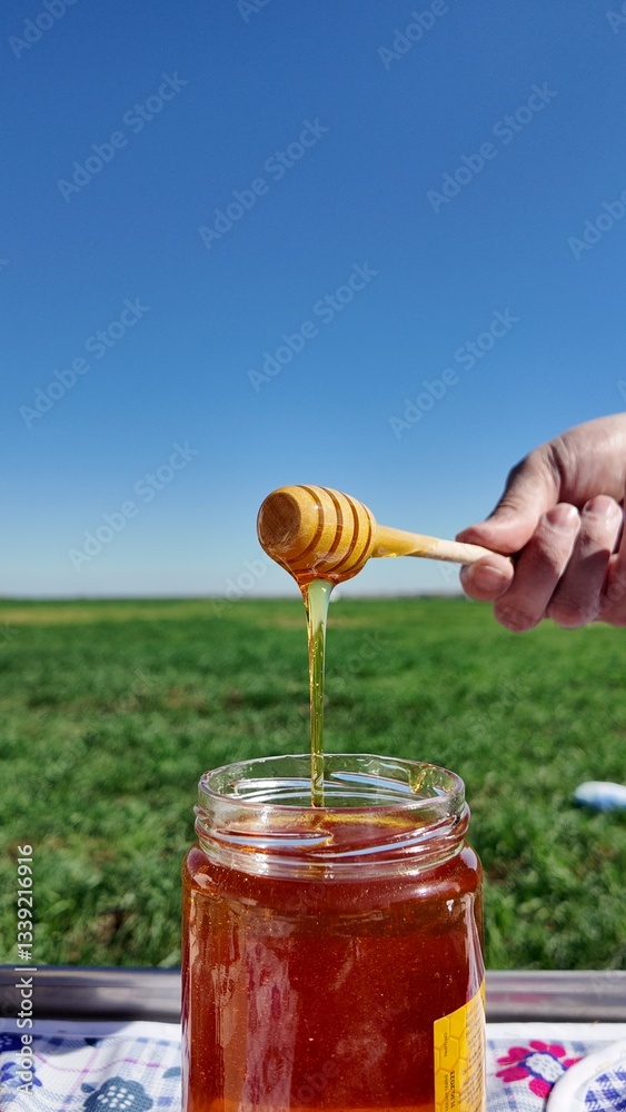 honey honey