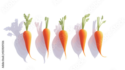 A digitally enhanced image displays a row of six carrots arranged horizontally against a pure white background. Each carrot is depicted with varying degrees of visible green tops, suggesting growth