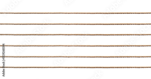 Obraz na płótnie Five parallel ropes creating horizontal lines on transparent background