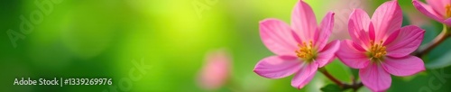 Close-up of colorful spring blossoms against a soft-focus green background , aesthetic, macro, springtime