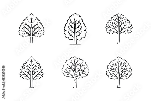 aspen tree icon line art vector illustration