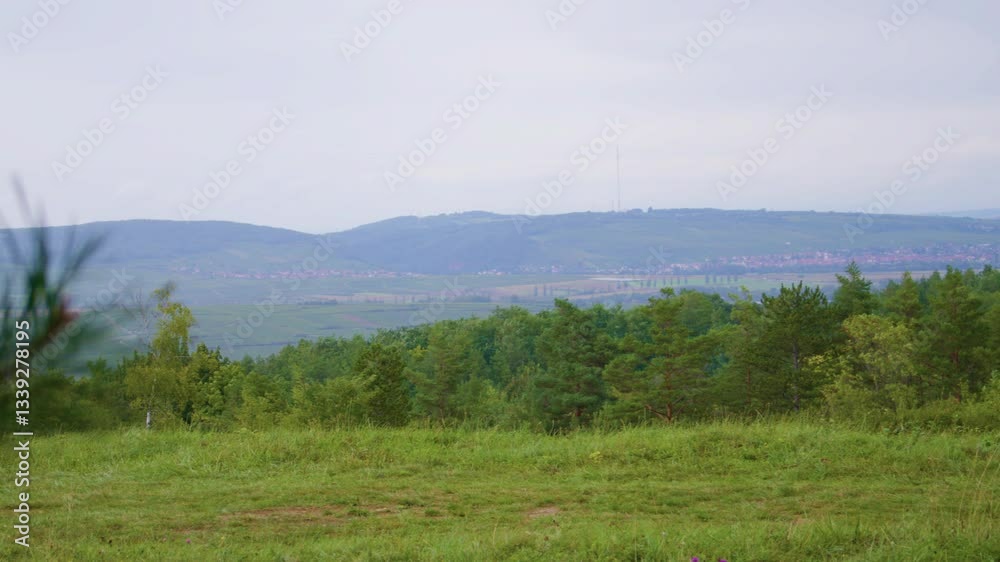 A panoramic view of faraway hills from a grassy fores clearing. A green landscape with mountains, woods and a green grass field in the foreground.