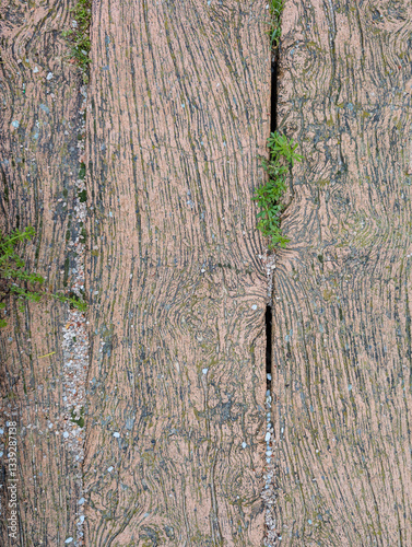 wood, background, structure, patterns, nature, botany, colors, r